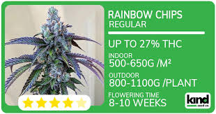Discovering the World of Weed Seeds Ohio Discovering the World of Weed Seeds Ohio
